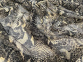 Tull Elastic | Kashash Textile