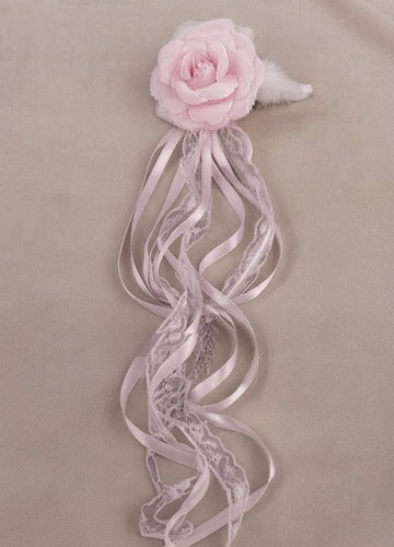 Accesoriu  tip brosa