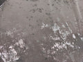 Material Elastic tip Piele Ecologică cu Dos Vatuit | Kashash Textile